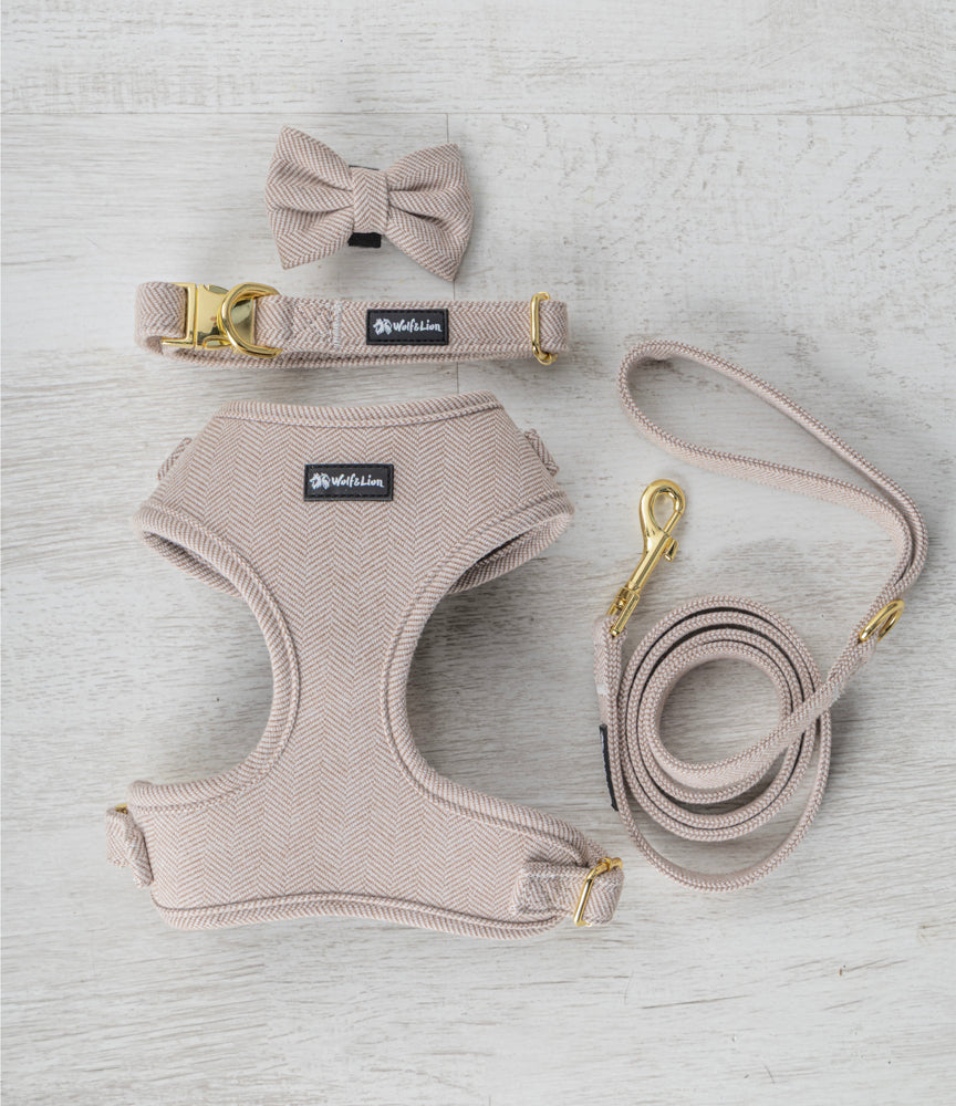 Collar Arena Perros Pequeños + Pajarita a Juego