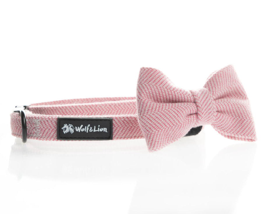 Collar Cómodo y Ligero para Perros Pequeños + Pajarita a Juego