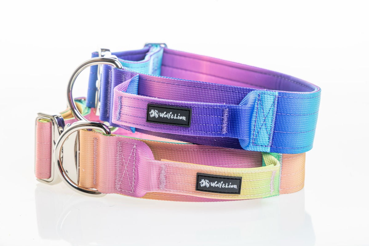 Collar Táctico con Asa de Control - Para Perros Grandes y Fuertes