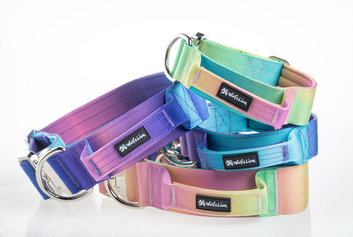 Collar Táctico con Asa de Control - Para Perros Grandes y Fuertes
