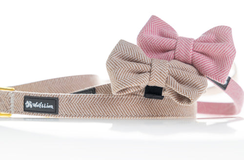 Collar Cómodo y Ligero para Perros Pequeños + Pajarita a Juego